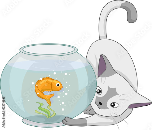 Cat Play Fish Aquarium
