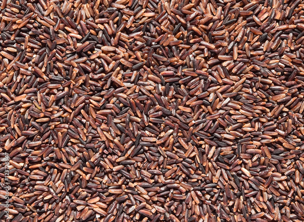 Close up, purple long rice, grains of Thai (Riceberry) rice back