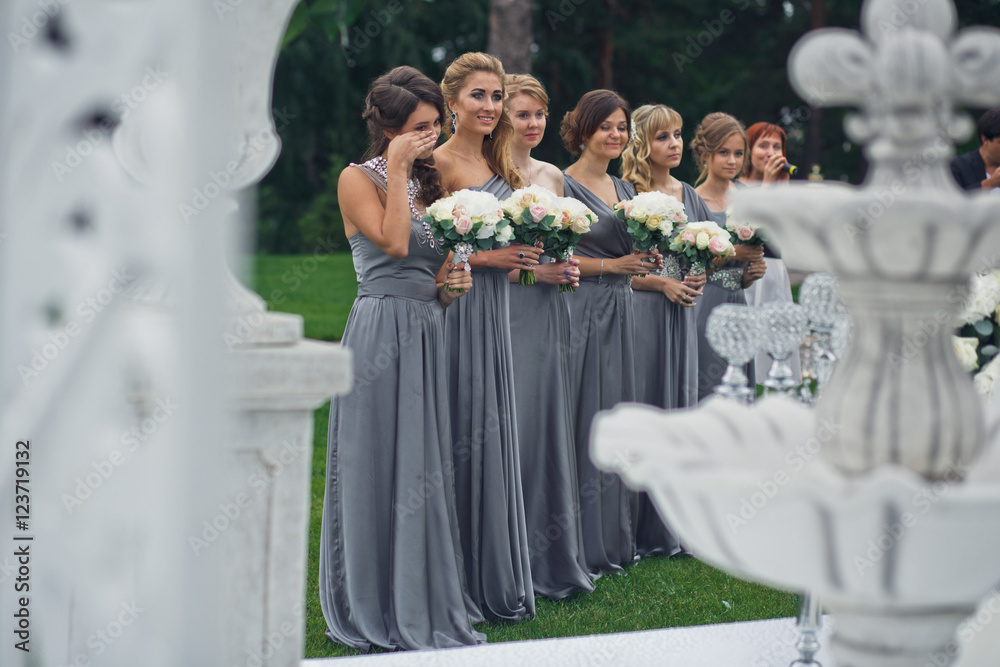 The charming bridesmaids stand  near brides