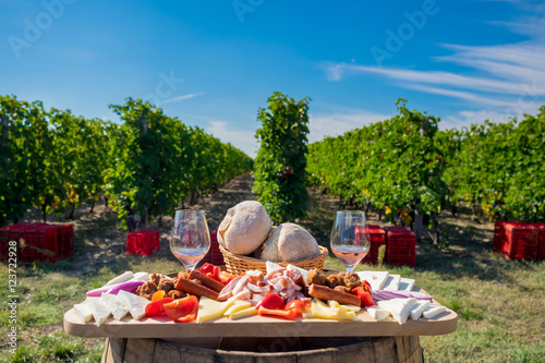 Traditional food plate with wine and vineyards in the background