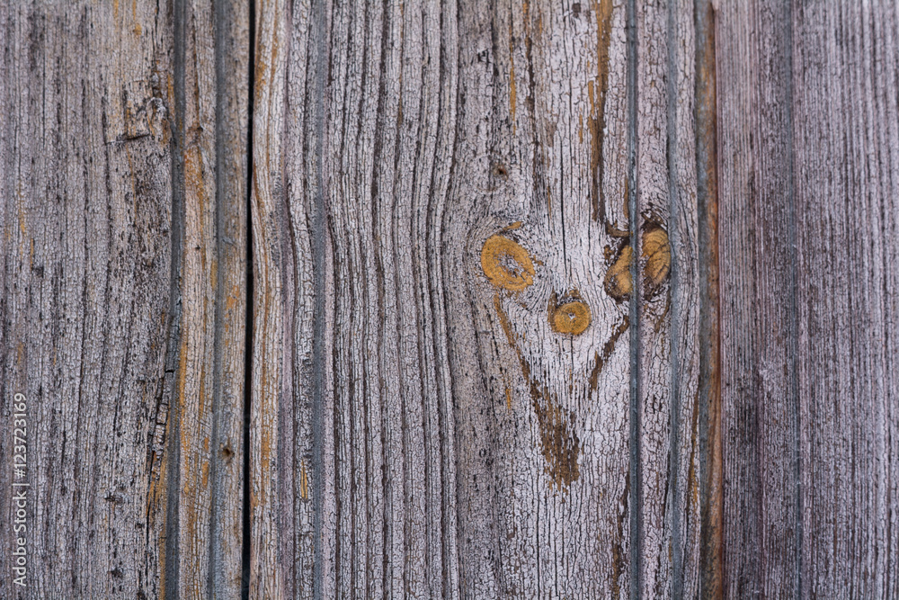 Golden Gray wood texture. Abstract background