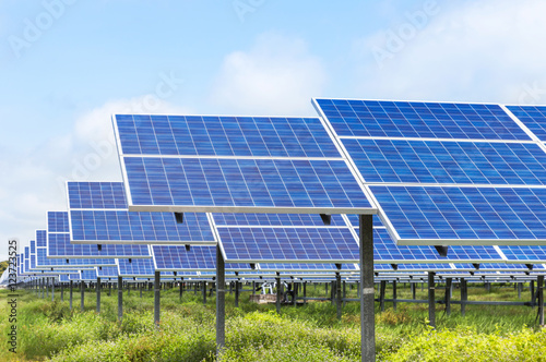solar panels in solar power station  