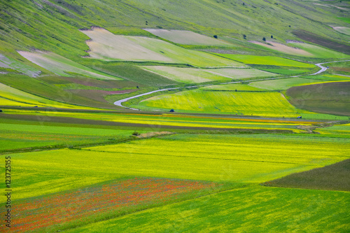 Mountain landscape with green field, sun light and cloud.