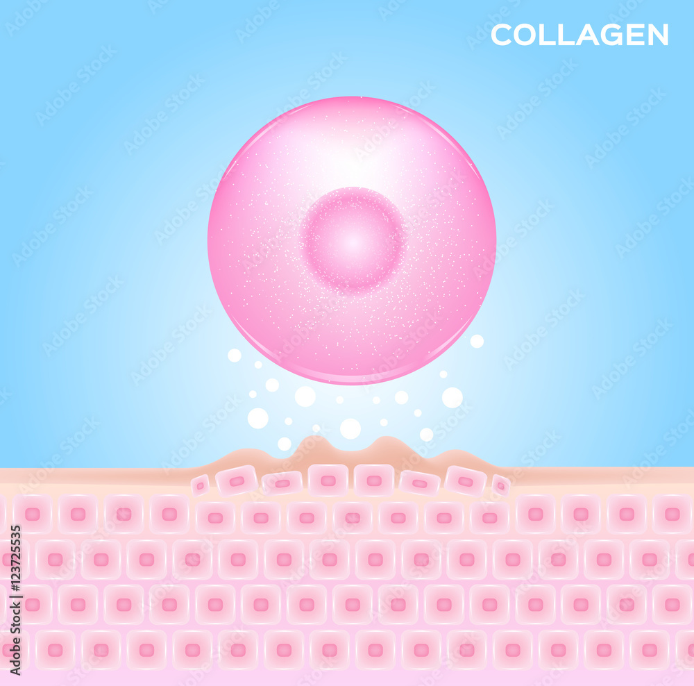 Extraction Collagen Vector collagen and skin vector , serum , drop . collagen makes cell better ...