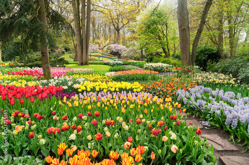 Fototapeta Naklejka Na Ścianę i Meble -  Colourful Tulips Flowerbeds and Path in an Spring Formal Garden