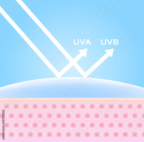 uv protection vector , uv comparison