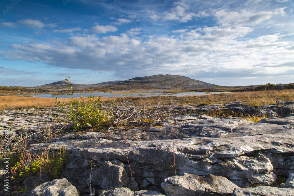 Burren National Park