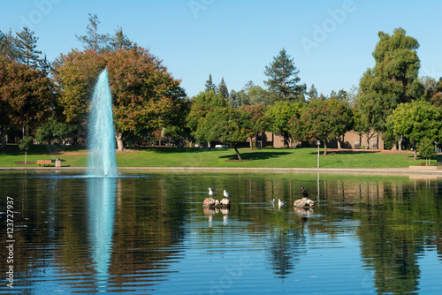 Blue reflecting pool photo