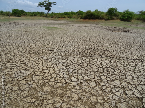 Ausgetrocknete Erde im Nationalpark Sri Lanka Udawalawe