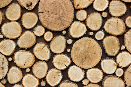 Fototapeta Drewno tekstury tło ma wiele dzienników, które wyciąć z dużego i małego drzewa