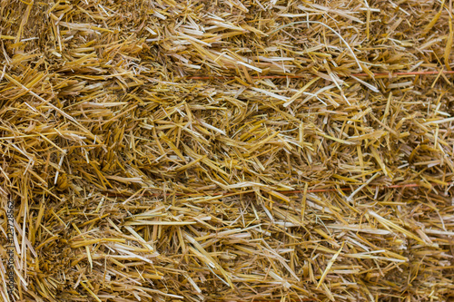 Close up of ground. Texture straw or hay