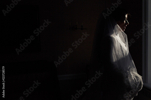 Mysterious bride stands in the rays of winter sun in a dark room