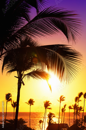 Coconut palm trees against colorful sunset