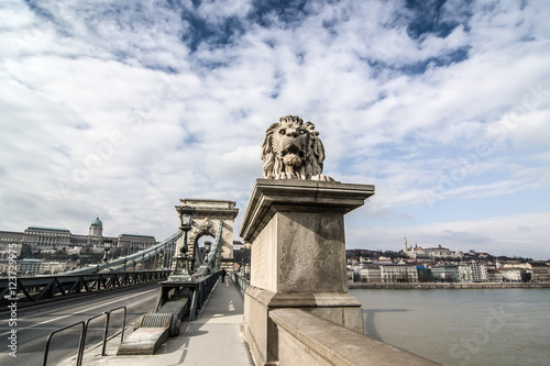 Lion on the Szechenyi Chain Bridge in Budapest, Hungary.