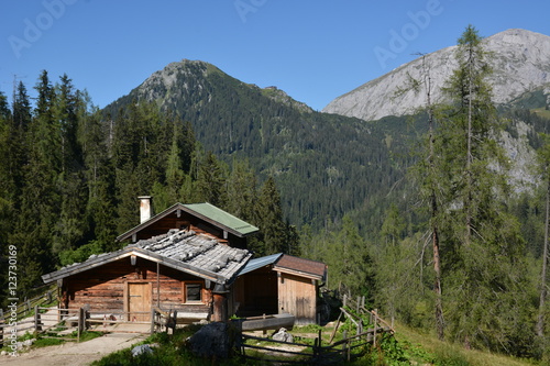 Hut in german alps with trees