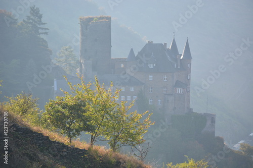 Castle in rhine valley photo