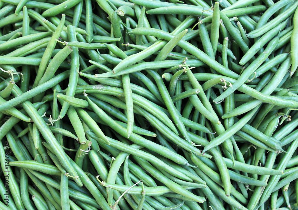 fagilini freschi su banco mercato--- Fresh green French bean background the counter f fagilini freschi su banco mercato--- Fresh green French bean background the counter f