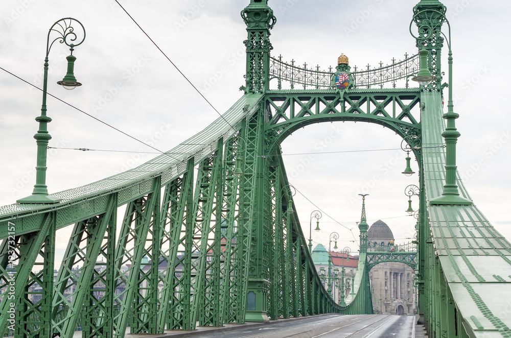 Fototapeta premium Freedom Bridge in Budapest, Hungary.