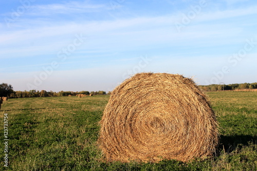Farm in Manitoba, Canada