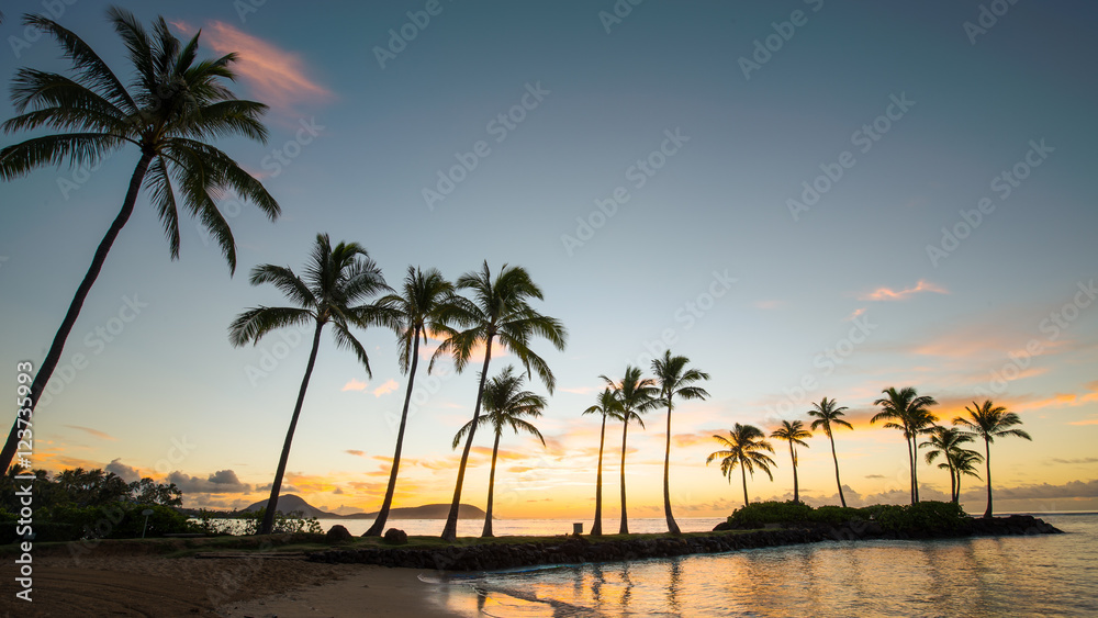 Hawaiian Beach Sunrise