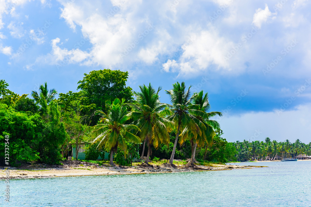 Obraz premium paradise tropical beach