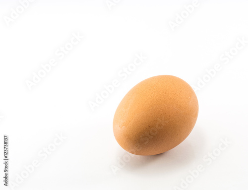 food raw material, fresh egg. Isolated on white background