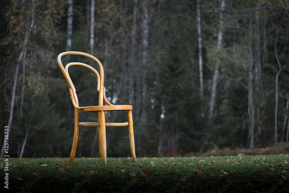 Antique Bentwood Viennese chair at wood Antique Bentwood Viennese chair at wood