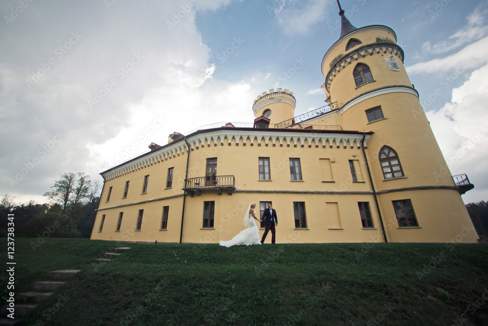 Ancient castle and newlyweds in the wedding day
