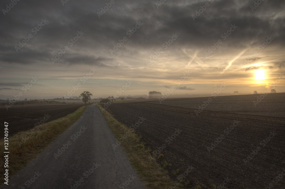 Sunrise over field