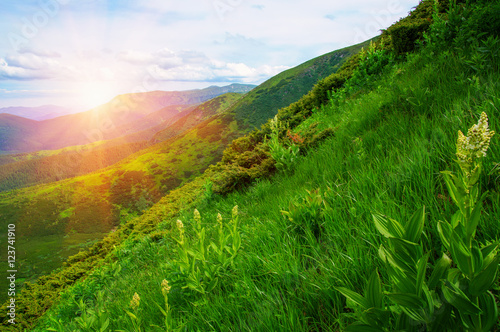 Fototapeta Mountain with the sun