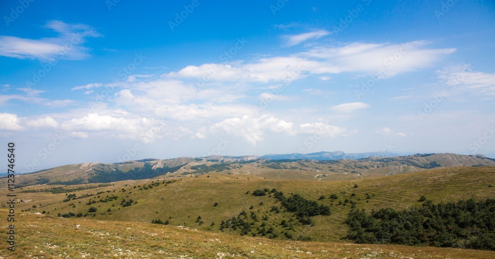 Fototapeta premium Green hills with trees