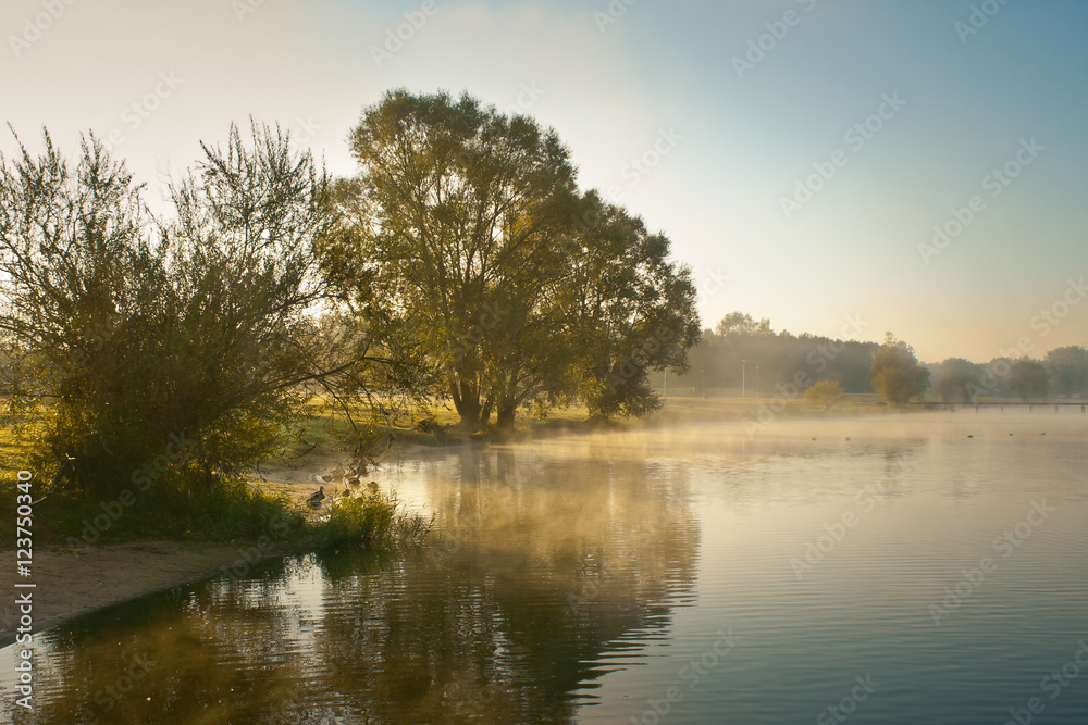 Poranek nad jeziorem