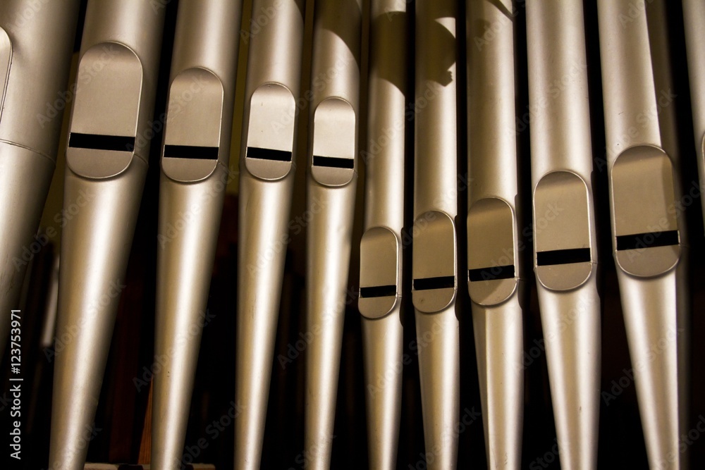 organs from very close 1
