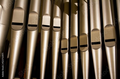 Obraz na płótnie organs from very close 1 w salonie