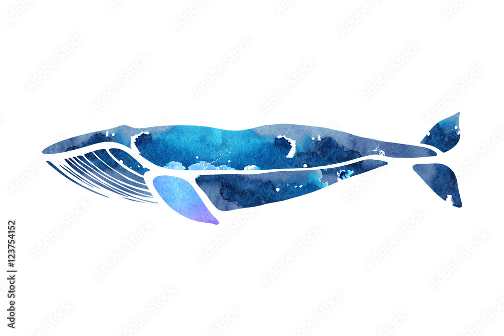 Obraz premium Płetwal błękitny. Balaenoptera musculus. Wieloryb na białym tle na jasnym tle. Logo dla twojego projektu. Wyciągnąć rękę.