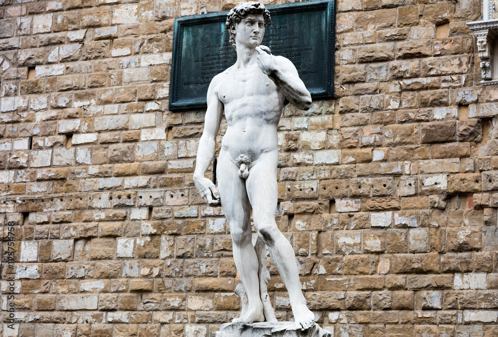 Naklejka premium David by Michelangelo