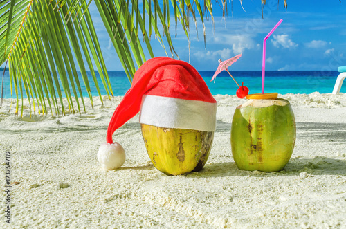 Two coconut Maldives at Christmas