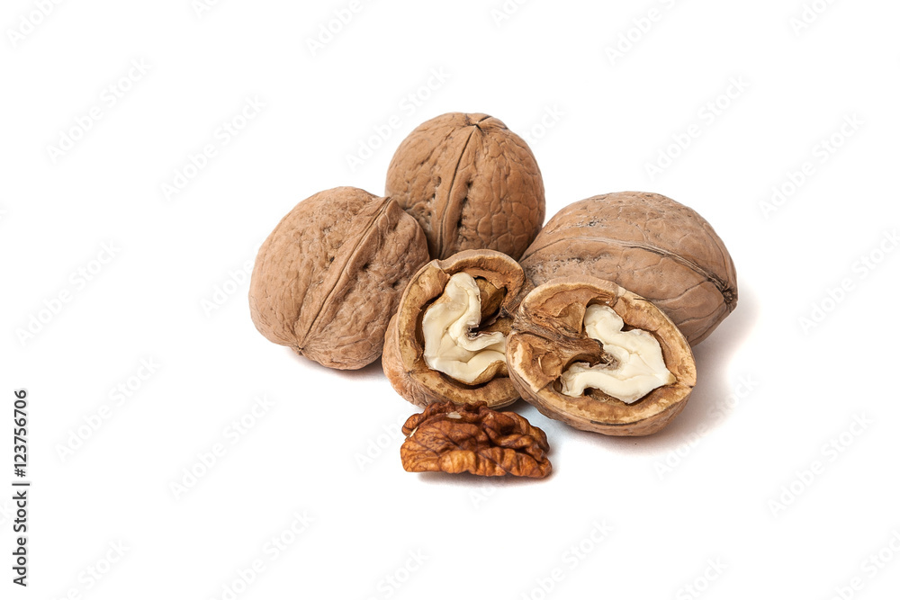 Group of walnuts Isolated on White Background Group of walnuts Isolated on White Background