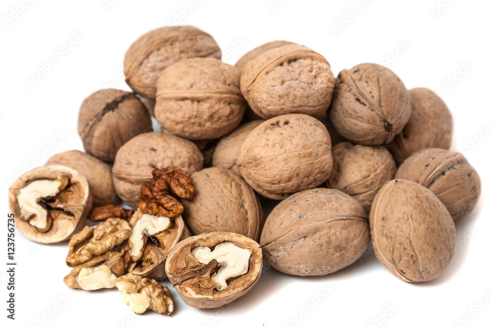 Group of walnuts Isolated on White Background Group of walnuts Isolated on White Background