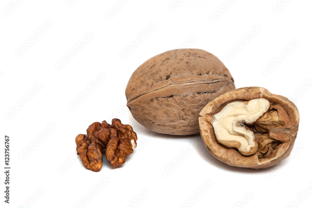 Walnut closeup isolated on white background. Natural health food Walnut closeup isolated on white background. Natural health food