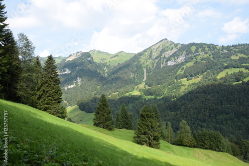 Berge bei Mellau