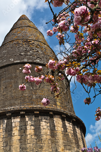 Sarlat-la-Canéda (Dordogne)