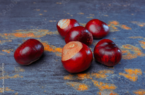 Several chestnut on slate