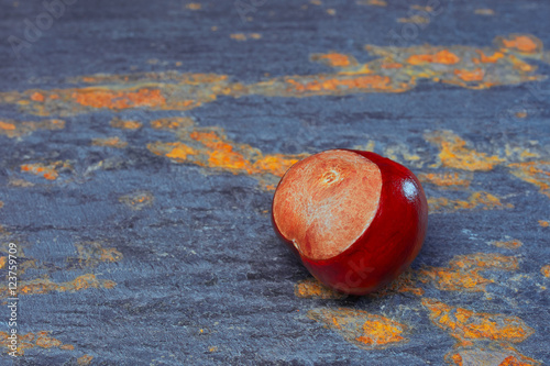 Chestnut on slate