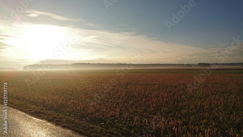 bavarian field in dawn