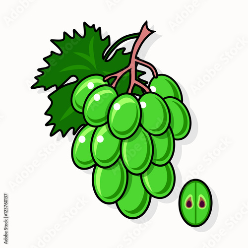 Green grapes isolated on white background. 