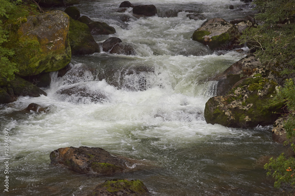 Fast flowing waters of the Rio Ventisquero as it passes through lush forest near the Carretera Austral in the Aysen Region of southern Chile. Fast flowing waters of the Rio Ventisquero as it passes through lush forest near the Carretera Austral in the Aysen Region of southern Chile.
