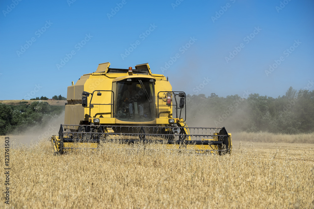 Obraz premium Cosecha de cereal, Madrid, junio de 2016