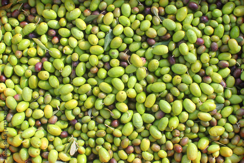 green olives background