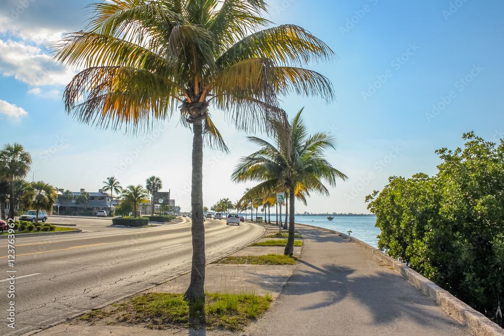 The Overseas Highway, the highway that connects the islands Keys from Florida, called North Roosevelt Blvd when entering in Key West. The Roosevelt Blvd is a long street with palms along the ocean.